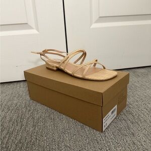 Women’s Steve Madden Sandals